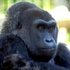 Columbus Zoo