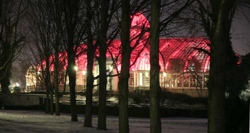 Palm House