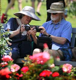 Park of Roses Photographers