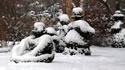 Snow 6756