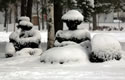 Snow 6759