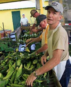 Millersport Sweet Corn Festival