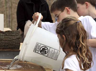 Collecting Maple Sap