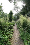 IMG 3386hywet