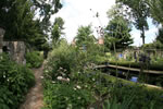 IMG 3390hywet