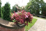 IMG 3394hywet