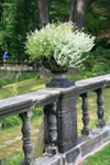 MG 4759hywet
