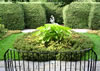Garden Gallery: Kingwood 0732
