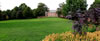 Garden Gallery: Kingwood 0765