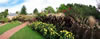 Garden Gallery: Kingwood 0775