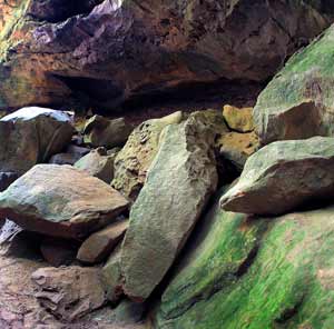 Conkle's Hollow