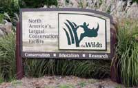 The Wilds